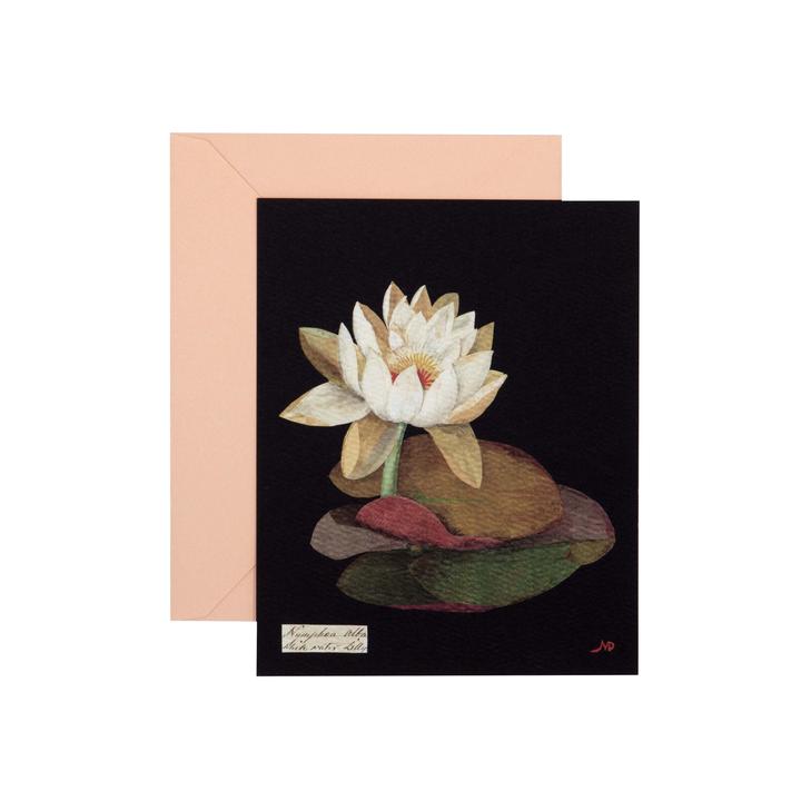 Paper Flowers Cards Set