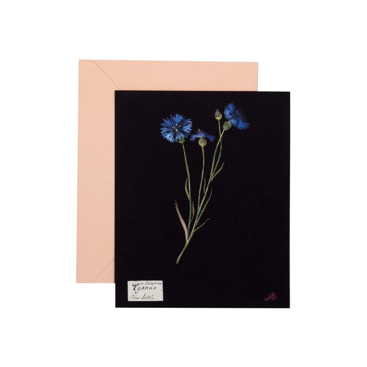 Paper Flowers Cards Set