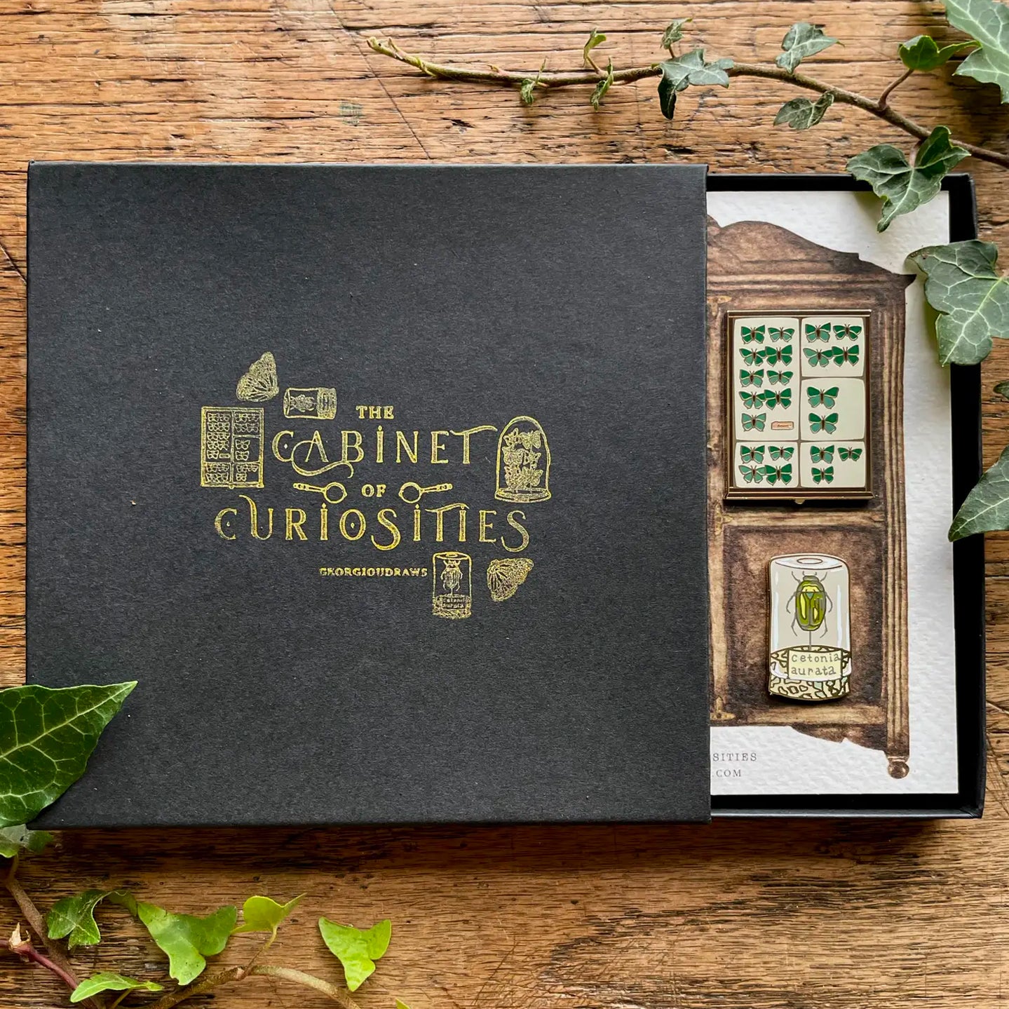 Cabinet of Curiosities Entomology Luxury Enamel Pin Box Set