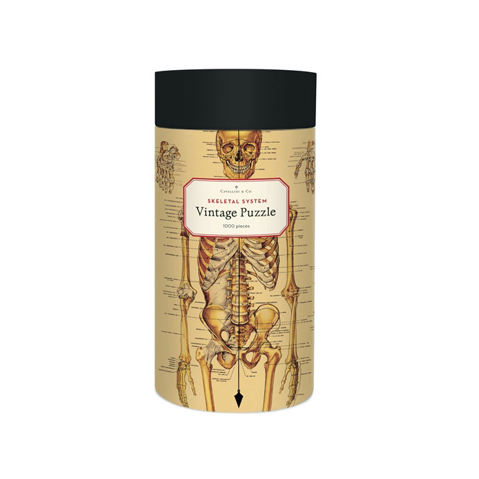 Skeletal System Puzzle
