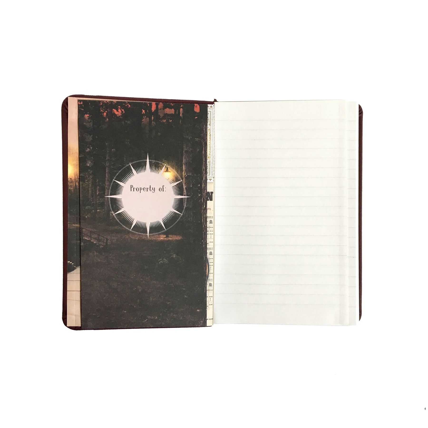Ravenclaw Pocket Journal – Curiosa - Purveyors of Extraordinary Things