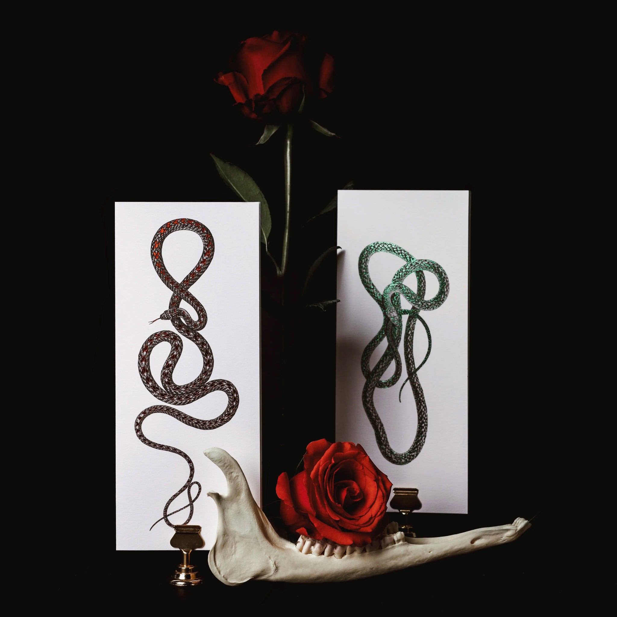 Paradise Flying Snake Card