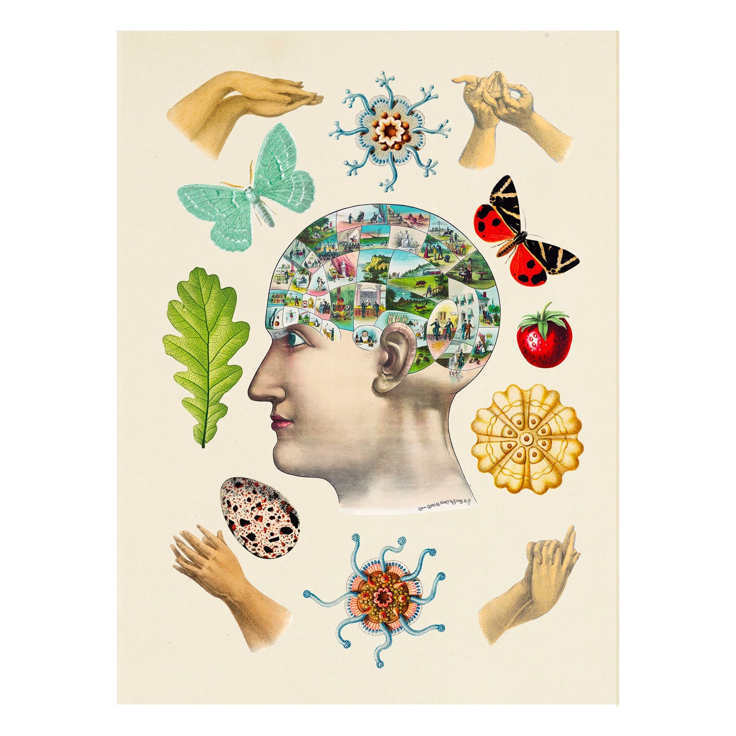 The Antiquarian Sticker Book