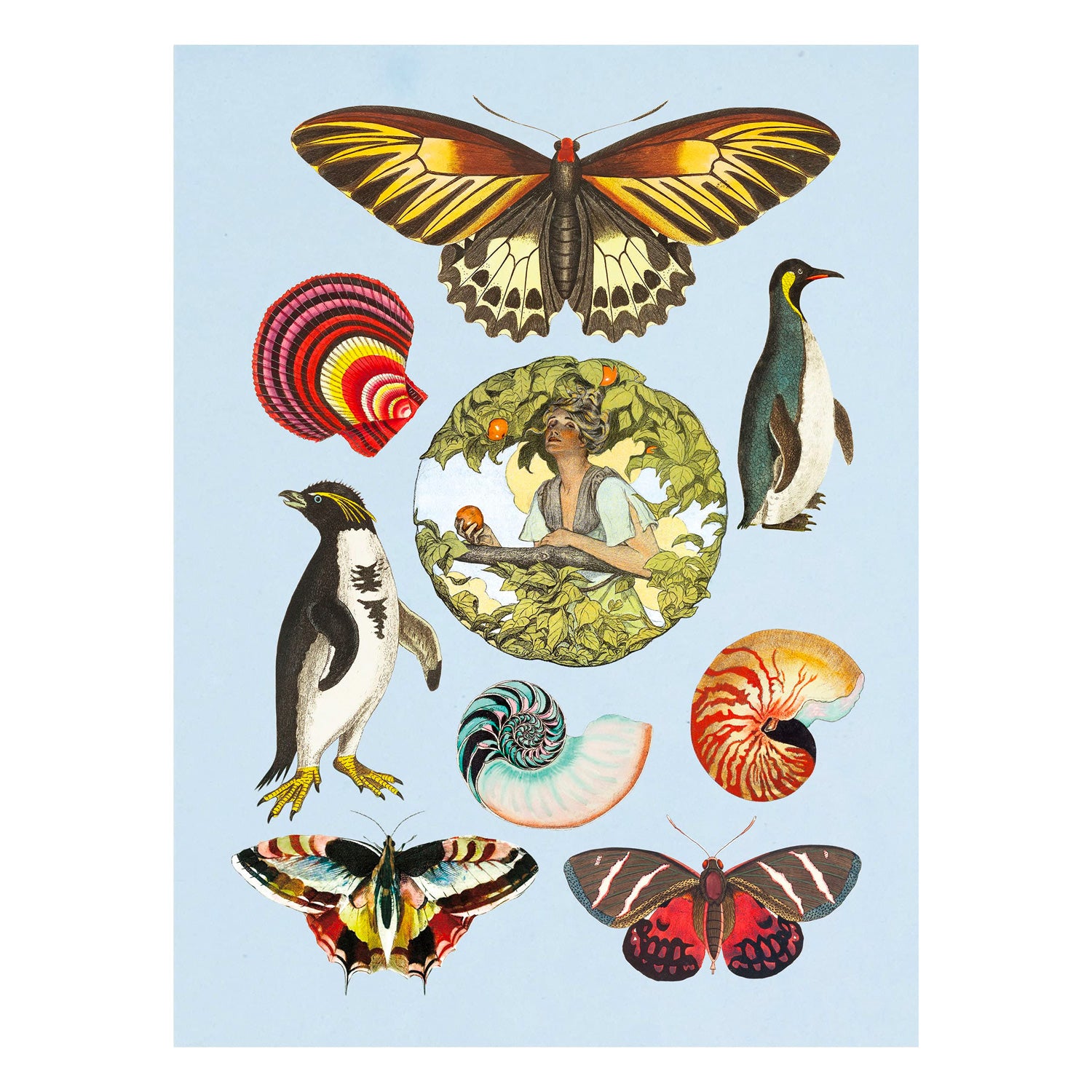 The Antiquarian Sticker Book