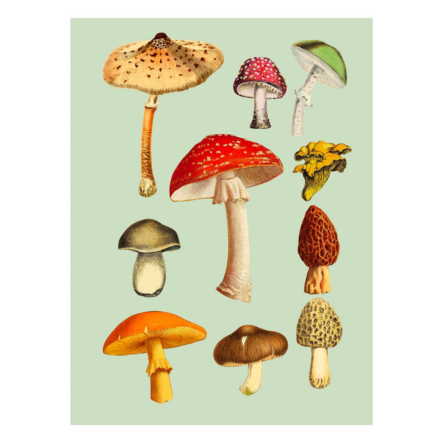 The Antiquarian Sticker Book