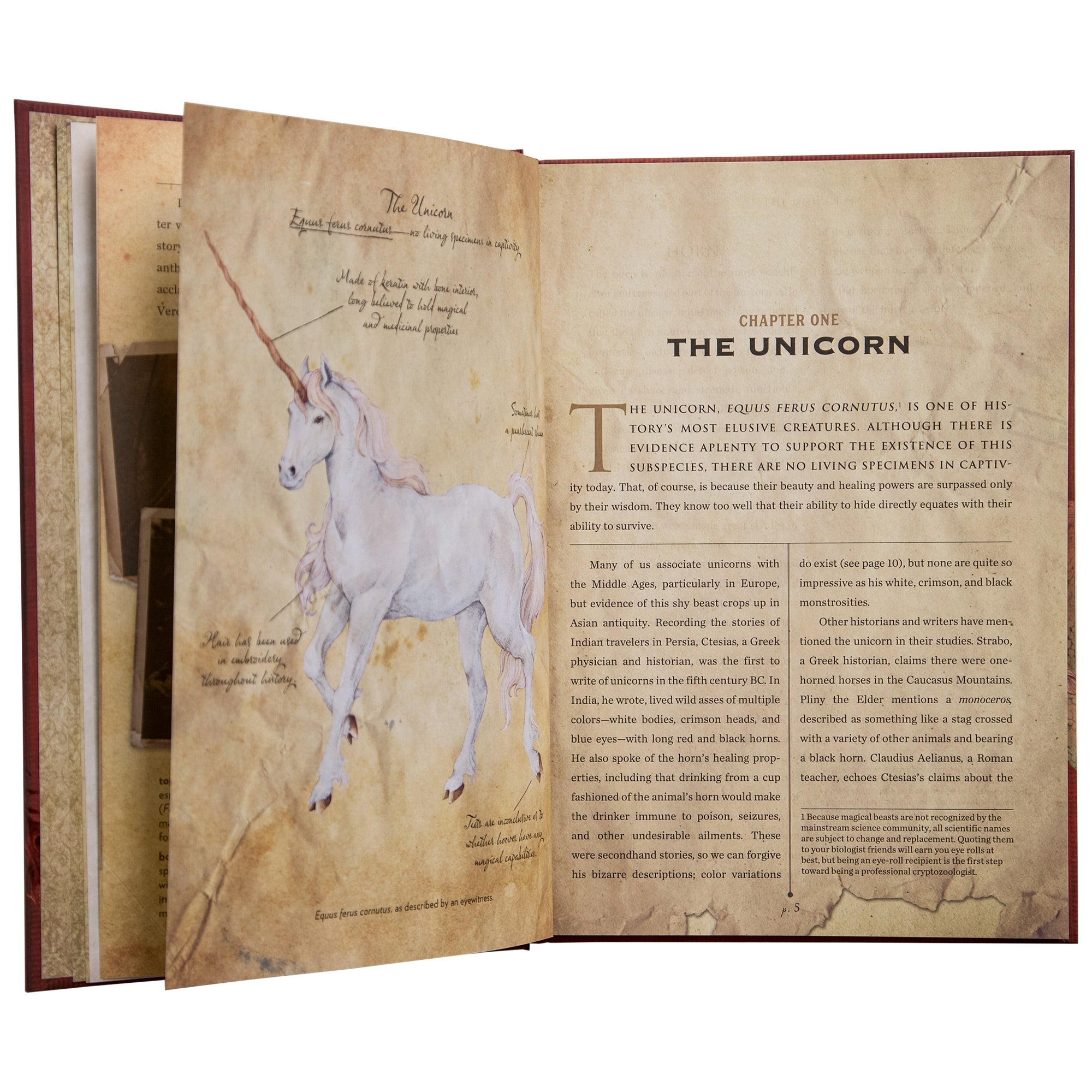The Compendium of Magical Beasts