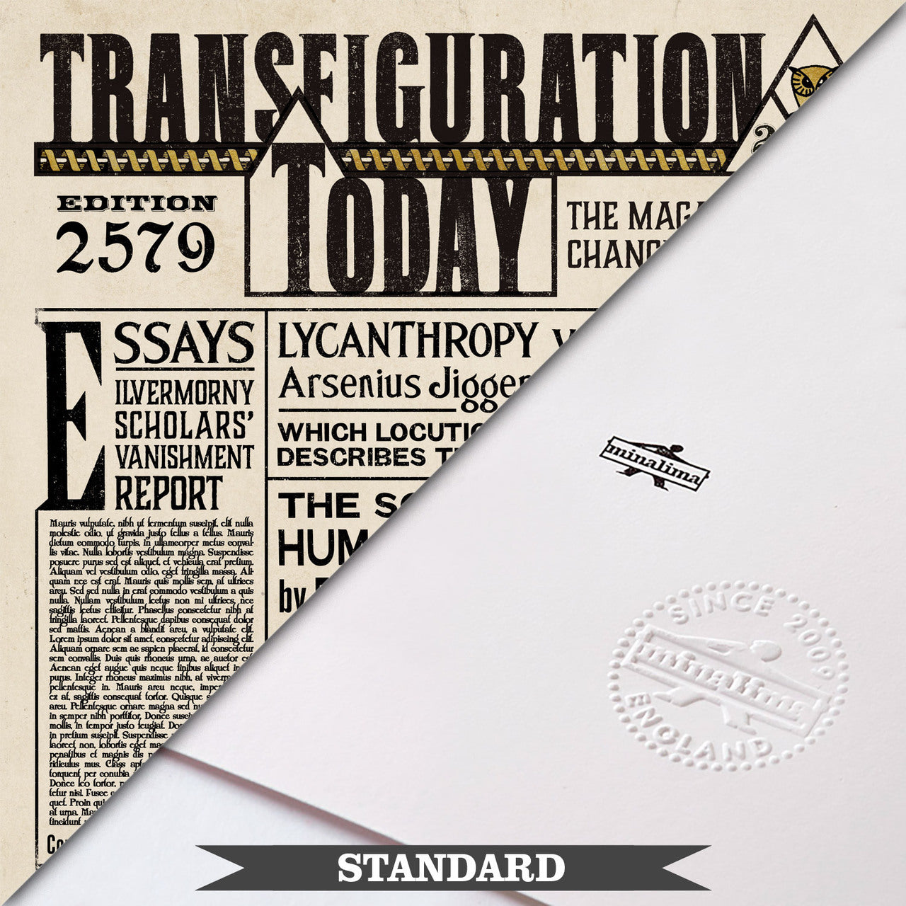 Transfiguration Today - Albus Dumbledore Limited Edition Art Print