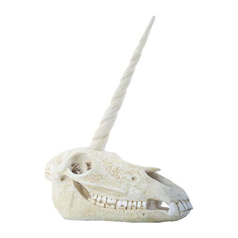 Unicorn Skull