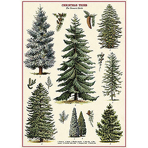Christmas Trees Vintage Print