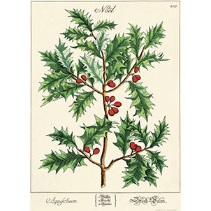 Holly (Noël) Vintage Print