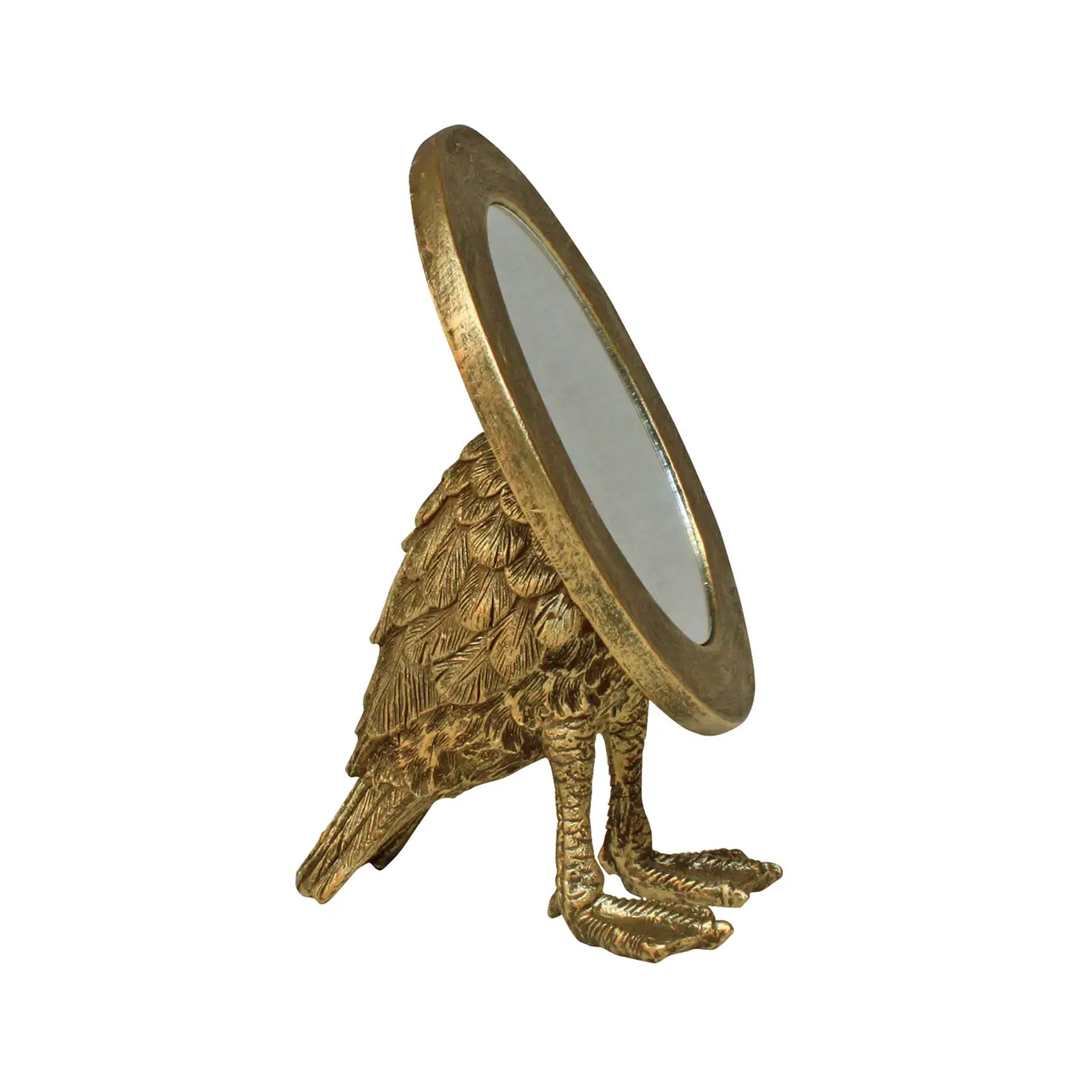Curious Creature Vanity Mirror