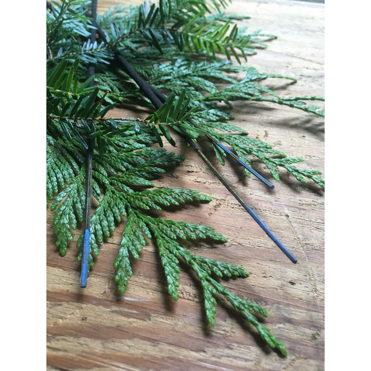 White Lodge All-Natural Incense (Fir & Cedar)