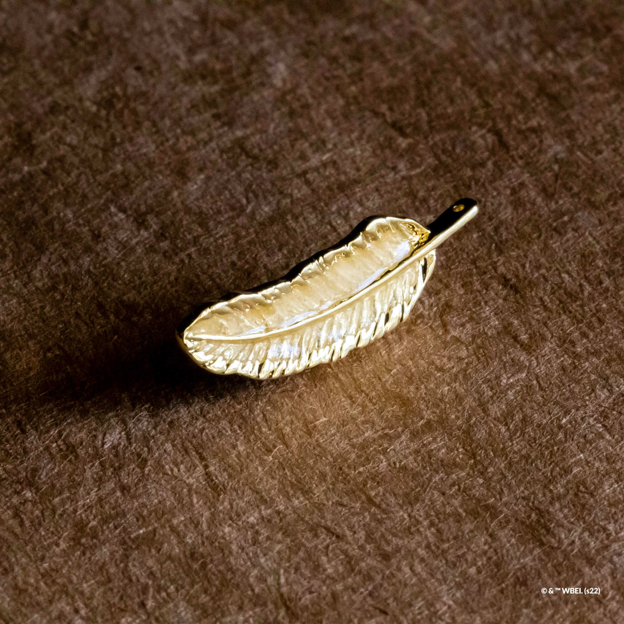 Harry Potter Tiny Trinket Pouch - Wingardium Leviosa