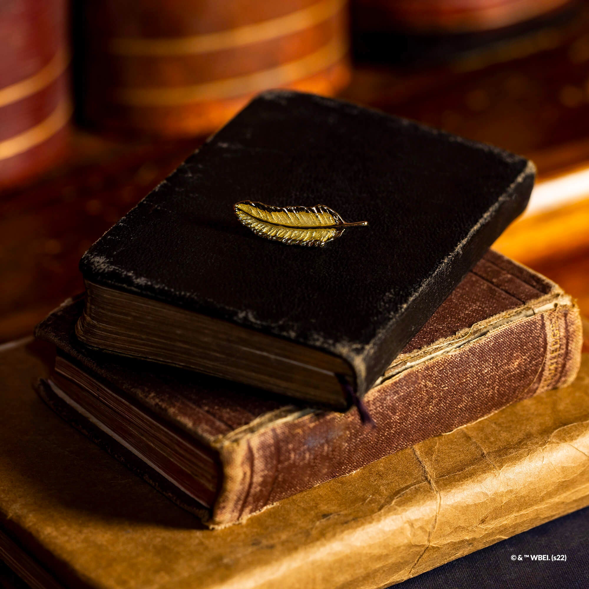 Harry Potter Tiny Trinket Pouch - Wingardium Leviosa