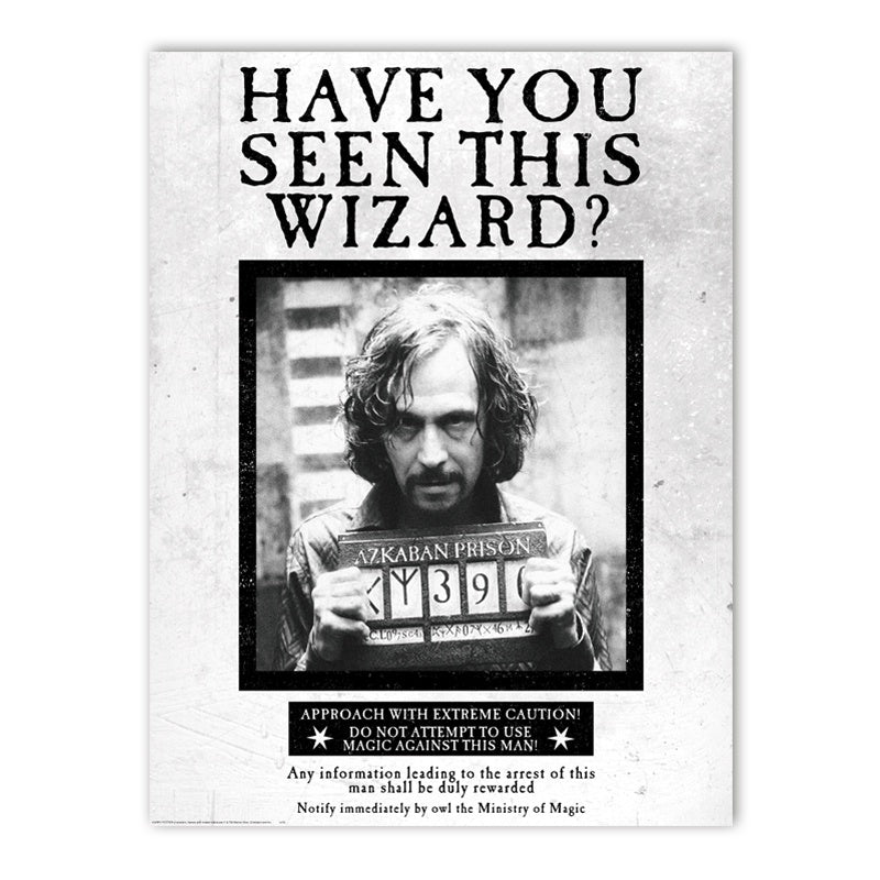 Have You Seen This Wizard Poster – Curiosa - Purveyors of Extraordinary  Things
