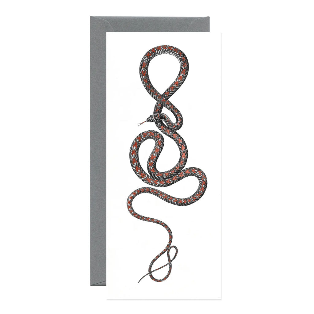 Paradise Flying Snake Card
