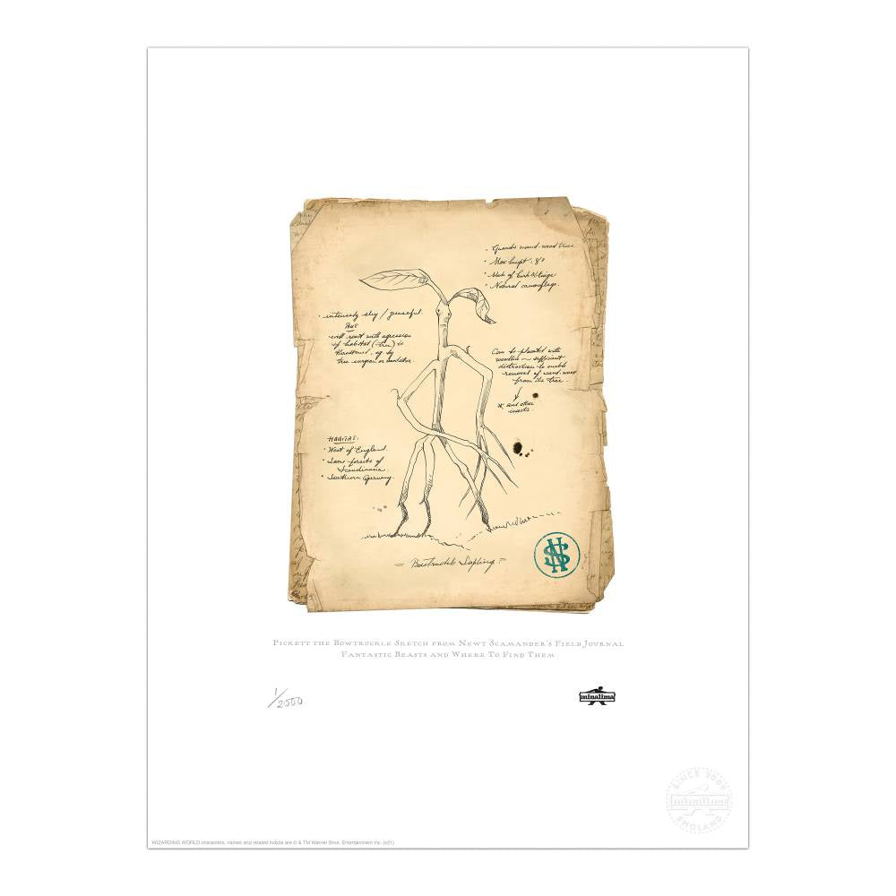 Pickett the Bowtruckle Sketch From Newt Scamander's Field Journal Limited Edition Art Print